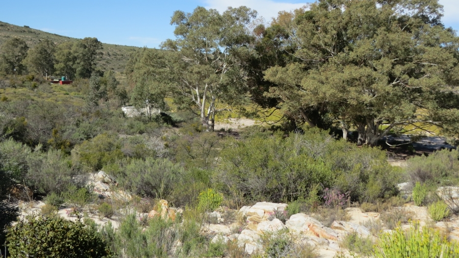 Commercial Property for Sale in Ladismith Rural Western Cape